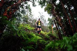 BIB: 
                            <button type="button" onclick="openModal(26204113)" class="btn btn-primary btn-sm float-right btn-popup" data-toggle="modal" data-target=".modal-high-quality">
                        <i class="fas fa-shopping-cart"></i> Add to Cart
                    </button>
                                            <button type="button" onclick="isThisMe(26204113, true)" class="btn btn-success btn-sm float-right btn-popup btn-isme hidden" data-toggle="tooltip" data-placement="bottom" title="นี่คือรูปของคุณใช่ไหม คลิกที่นี่เพื่อเอาเข้าอัลบั้ม">
                        <i class="fas fa-plus"></i> Add to album
                    </button>
                    <button type="button" onclick="isThisMe(26204113, false)" class="btn btn-warning btn-sm float-right btn-popup btn-isnotme hidden">
                        <i class="fas fa-ban"></i> Remove from album
                    </button>